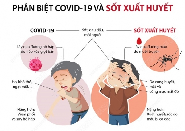 Phân biệt COVID-19 và sốt xuất huyết