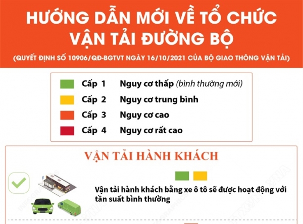 Hướng dẫn mới về tổ chức vận tải đường bộ