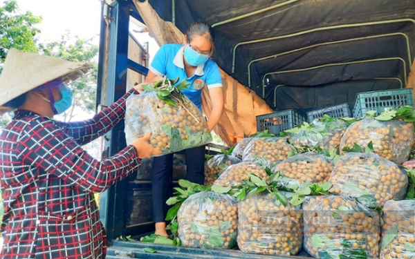 Thúc đẩy sản xuất, lưu thông, tiêu thụ và xuất khẩu nông sản